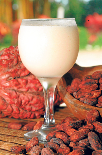 El jugo de cacao es uno de los diversos derivados de este producto que será dest