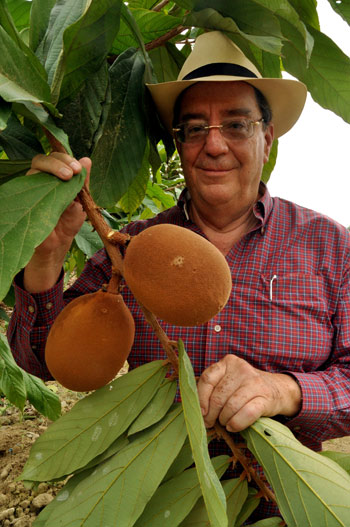 Sergio Cedeño en la hacienda Cañas junto a una mata de cacao.