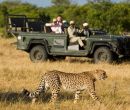 Greater Kruger National Park (Sudáfrica)