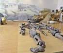 El Museo Paleontológico Megaterio muestra el esqueleto articulado en un 80%.