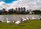 El parque Baragüi es ejemplo del cuidado que Curitiba brinda a sus espacios.