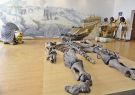 El Museo Paleontológico Megaterio muestra el esqueleto articulado en un 80%.