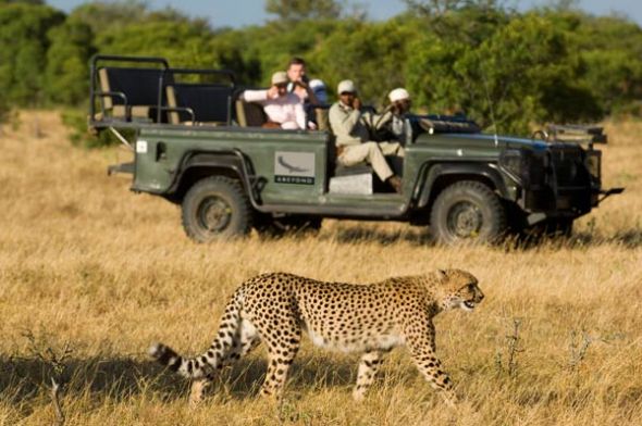 Greater Kruger National Park (Sudáfrica)