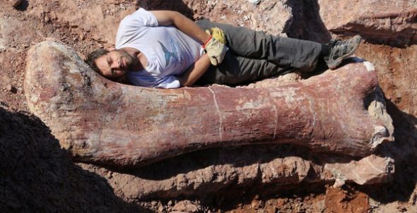 Diego Pol y el fémur del titanosaurio que descubrió en Argentina.