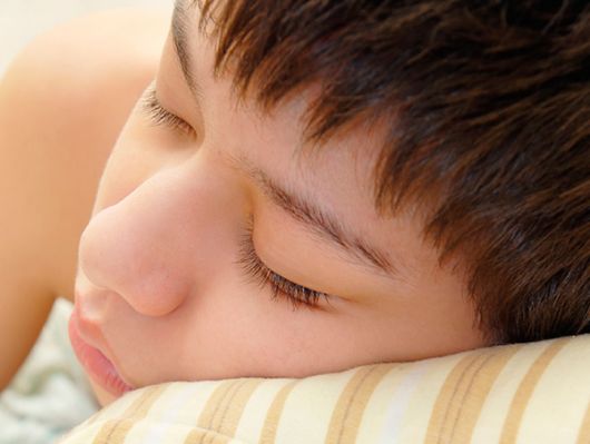 Niños y adultos necesitan regularidad en sus horarios de sueño y en los hábitos 